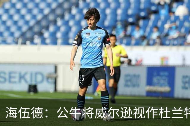 海伍德：公牛将威尔逊视作杜兰特使用，但他更像加内特